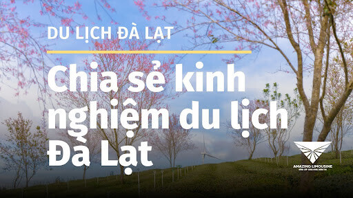 Chia sẻ kinh nghiệm du lịch Đà Lạt tự túc chi tiết dành cho bạn 3 Chia Sẻ Kinh Nghiệm Du Lịch Đà Lạt