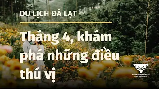 Du lịch Đà Lạt tháng 4 có gì? Khám phá những điều thú vị tại thành phố mộng mơ 8 Du Lich Da Lat Thang 4 Co Gi Hot