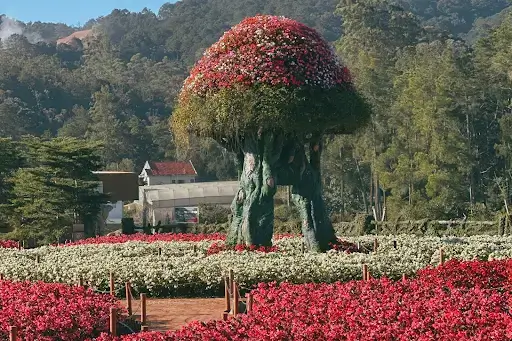 Khu Du Lich Fresh Garden Da Lat Limousine