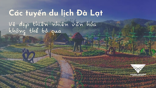 Các tuyến du lịch Đà Lạt: Khám phá vẻ đẹp thiên nhiên và văn hóa 2 Cac Tuyen Du Lich Da Lat