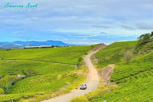 Công ty cho thuê xe điện VinFast VF3 ở Đà Lạt – Dịch vụ uy tín, giá tốt 84 Cong Ty Cho Thue Xe Dien Vinfast Vf3 O Tai Da Lat