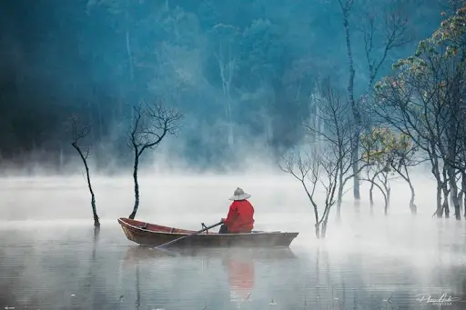 Du Lich Trung Tam Da Lat 2025 Co Gi Review Chi Tiet Cho Ban A Z