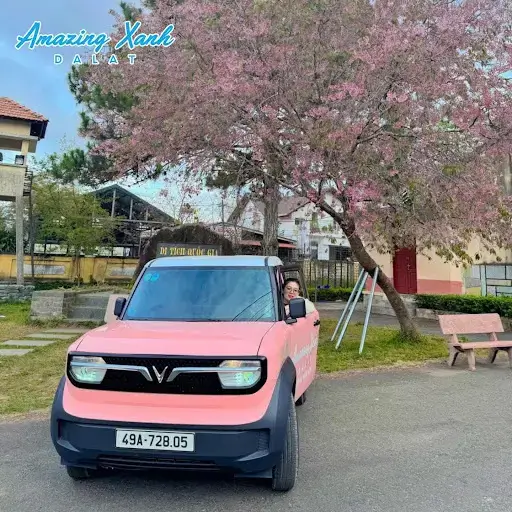Giá thuê xe điện VinFast theo ngày ở Đà Lạt – Giải pháp di chuyển tiện lợi, tiết kiệm 5 Gia Thue Xe Dien Vinfast