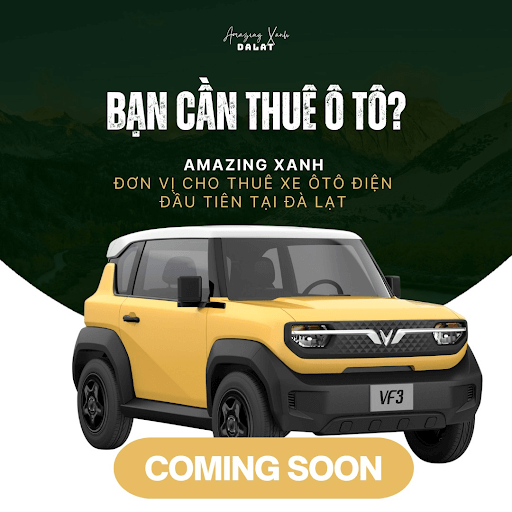 Thuê xe điện VinFast VF 3 tại Amazing Xanh - Khám phá Đà Lạt mới lạ, tiết kiệm và bảo vệ môi trường