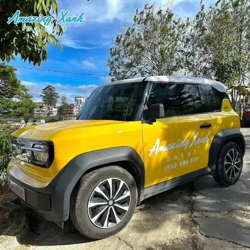 Thuê xe VinFast tự lái VF3 Đà Lạt – Trải nghiệm du lịch tự do, hiện đại 9 Thue Xe Vinfast Tu Lai Vf3 Da Lat