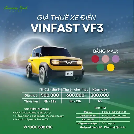 Thuê xe VinFast VF3 Đà Lạt – trải nghiệm du lịch xanh hoàn hảo 5 Thue Xe Vinfast Tu Lai Vf3