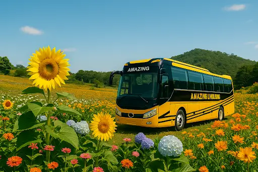 Dat Xe Limousine Di Da Lat Nhan Qua Dac Quyen Membership Amazing Limousine