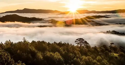 Cung Duong Chup Anh Song Ao Bang Xe Dien Tu Amazing Xanh Da Lat